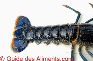Homard breton