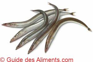 lan&ccedil;on &eacute;quille, Ammodytes tobianus