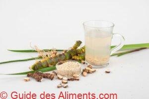 Acorus calamus