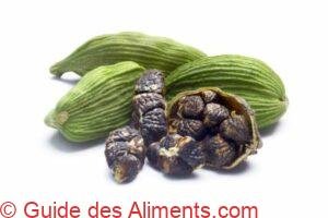 Cardamome