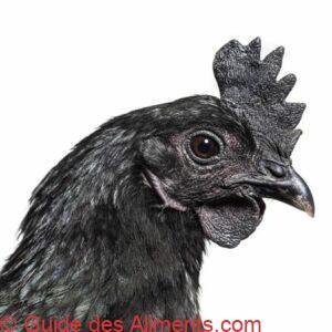 Poulet Ayam Cemani