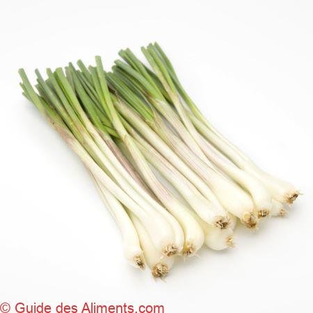 Shima Rakkyo - Guide des Aliments