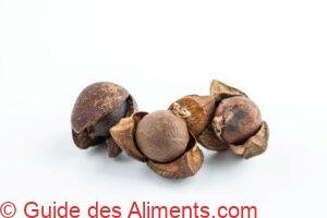 graines de Camellia oleifera