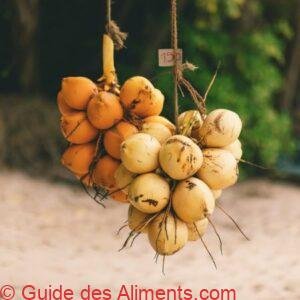 noix de coco royale ou thembili
