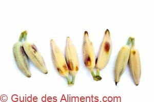 Silver bluggoe or Musa ABB group banana