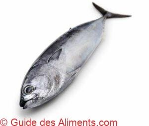 thon bonitou ( Auxis rochei ) 2