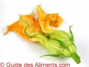 fleur de courgette