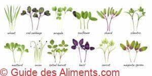 Micropousses