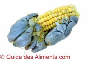 huitlacoche