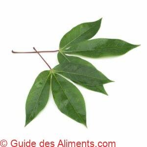 feuilles de manioc.