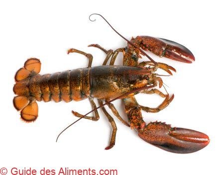 <a class="ingredient-link" data-ingredient-link-id="34" data-clicks="0" href="https://guidedesaliments.com/guide/homard/" target="_blank" rel="nofollow sponsored">homards</a>