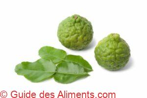 kaffir et feuille de kaffir