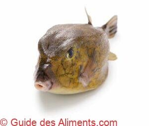 poisson-coffre à points bleus