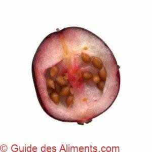 canneberge
