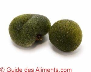 codium minus (appelée Tamamiru au Japon)