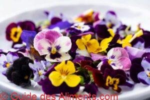 pensées des champs