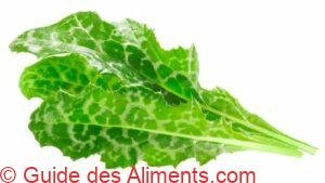 Feuilles de chardon-Marie