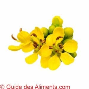 Senna siamea