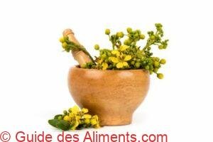 Senna siamea