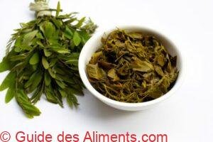 Senna siamea