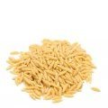 orzo