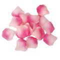 Pétales de roses