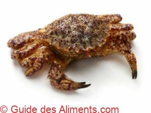 kurigani ou helmet crab