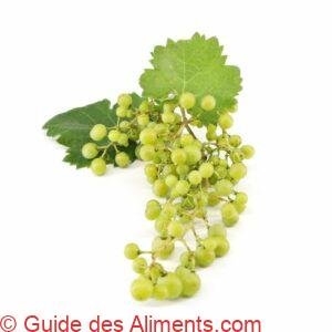 Raisin glera
