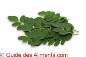 feuilles de moringa