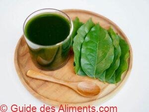jus de Tiliacora triandra