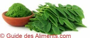 pâte de moringa