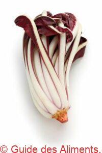 radicchio-rosso-di-treviso-tardivo