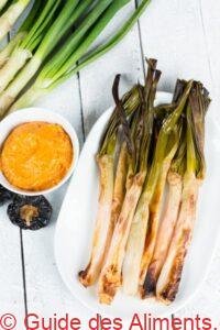 Calçots cuisinés au feu, cuisine typique de Catalogne