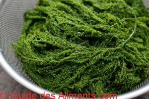 Hondawara (sargassum fulvellum)