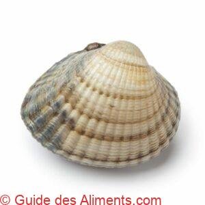 Coque commune