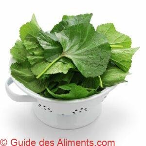 mauve (Malva sylvestris)