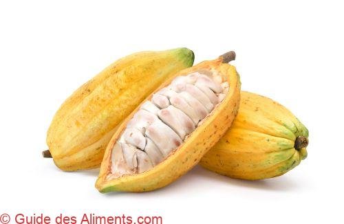 Cacao forastero - Guide des Aliments