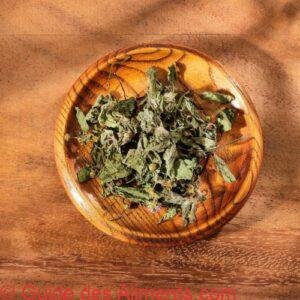 guasca - Galinsoga parviflora