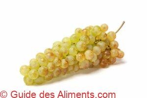 Chasselas