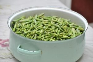 Fleur de maguey