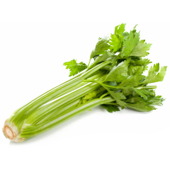 céleri-branche