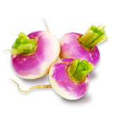 Navets