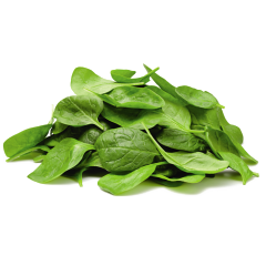 <a class="ingredient-link" data-ingredient-link-id="73" data-clicks="0" href="https://guidedesaliments.com/guide/epinard/" target="_blank" rel="nofollow sponsored">épinards frais</a>