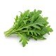 roquette
