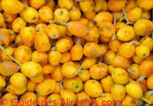 marula (Sclerocarya birrea)